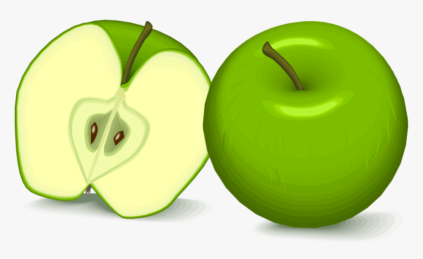 Plant,apple,granny Smith - Flashcard Apples, HD Png Download, Free Download