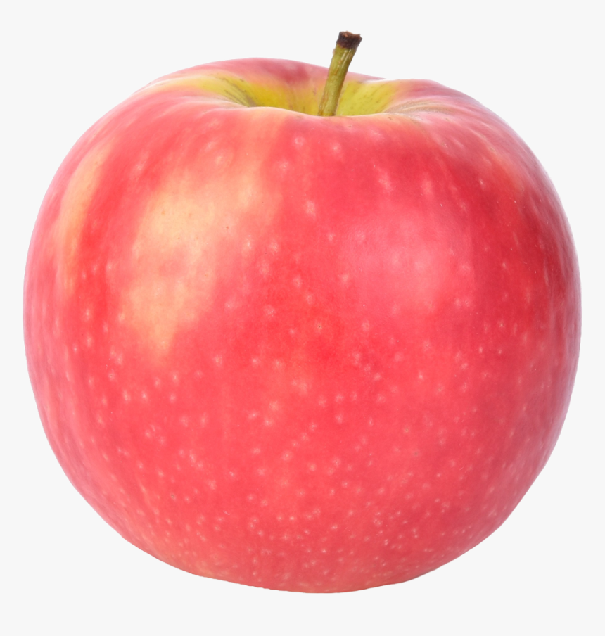 Apple Fruit, HD Png Download, Free Download