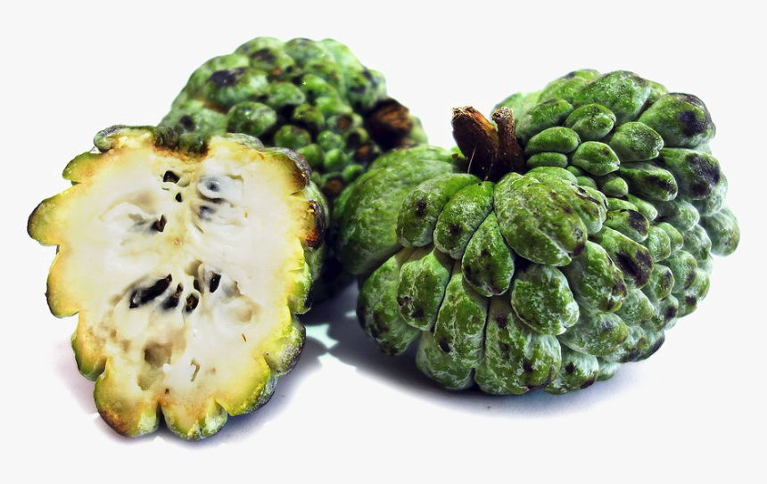 Sugar Apple Png Photo - Sugar In Apples, Transparent Png, Free Download