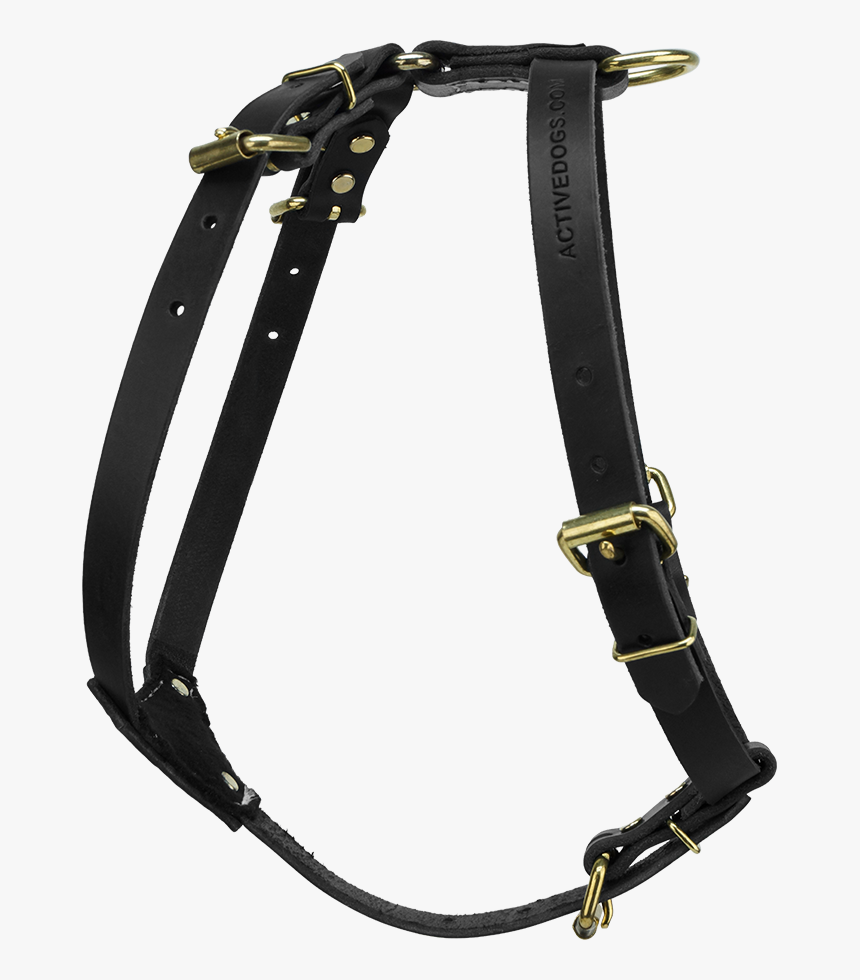 Horse Harness Png Leather, Transparent Png, Free Download