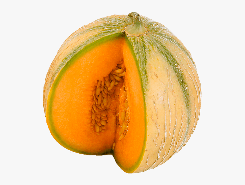 Melon - Melone, HD Png Download, Free Download