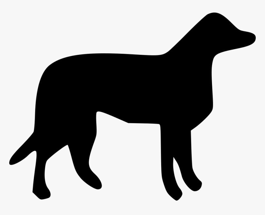 Labrador Retriever Puppy Dog Breed Otterhound Dog Harness - Dog, HD Png Download, Free Download