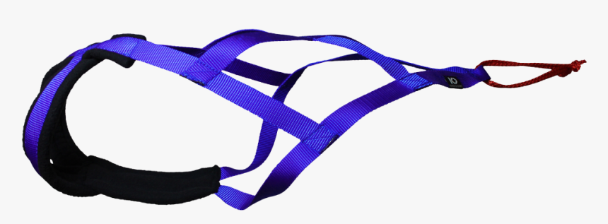 X1 Dog Harness - X1 Harness, HD Png Download, Free Download