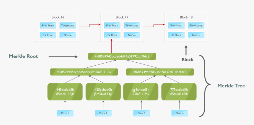 Merkle Tree Top Blockchain Interview Questions Edureka - Merkle Tree Blockchain, HD Png Download, Free Download