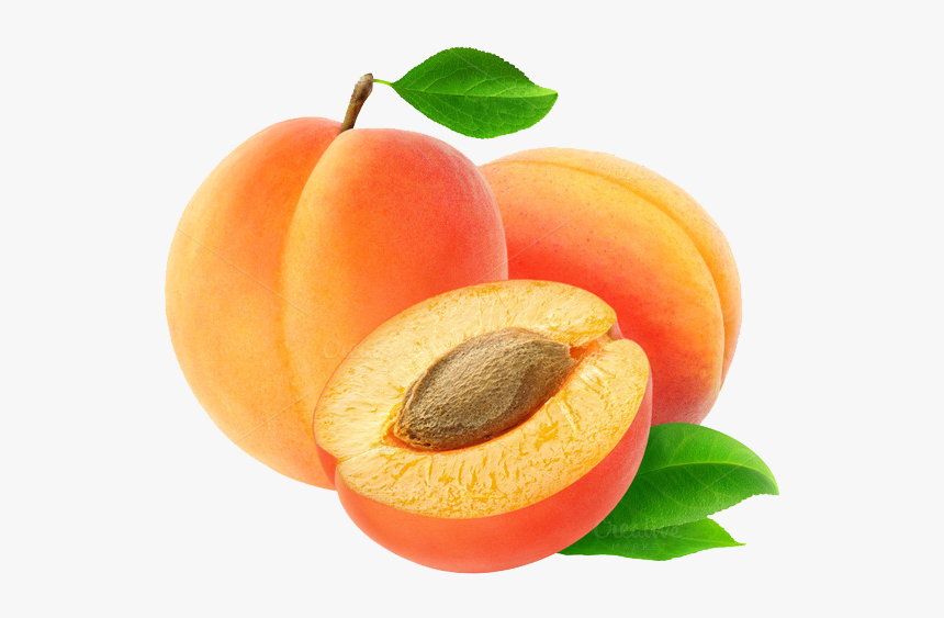 Transparent Apricot Png, Png Download, Free Download