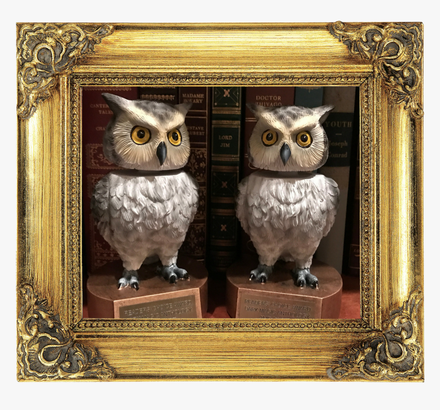 Owltrophy1 - Picture Frame, HD Png Download, Free Download