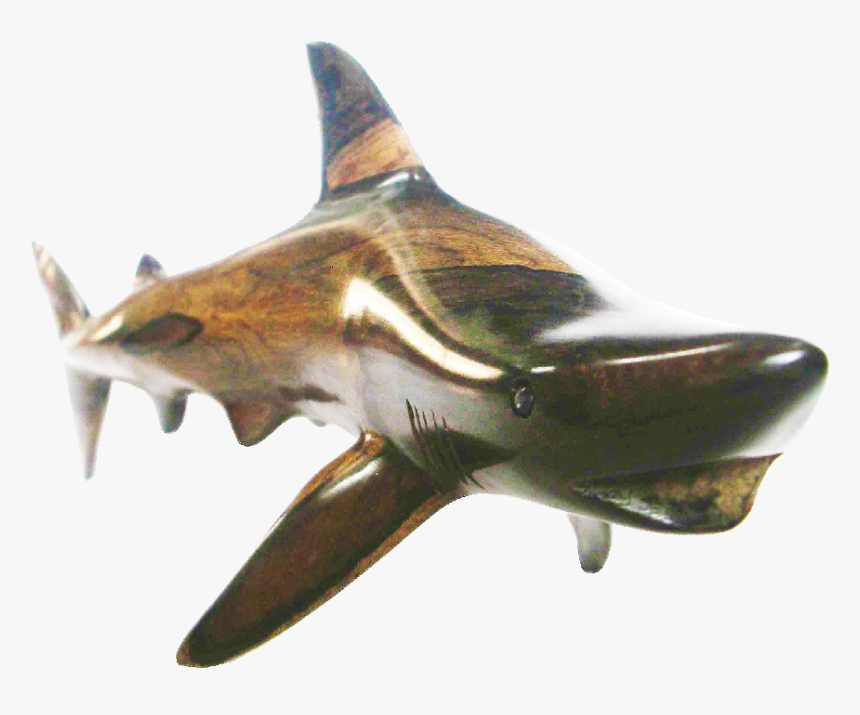 Blacktip Shark M - Bronze Hammerhead Shark, HD Png Download, Free Download