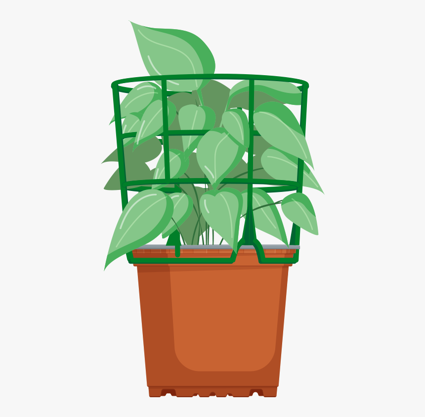 Flowerpot, HD Png Download, Free Download