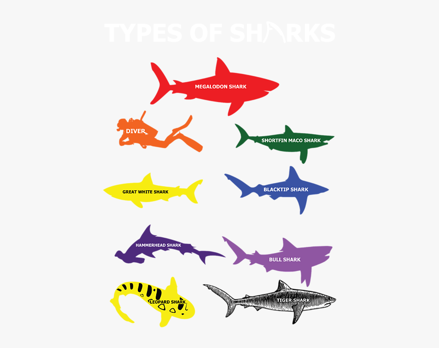 Shark, HD Png Download, Free Download