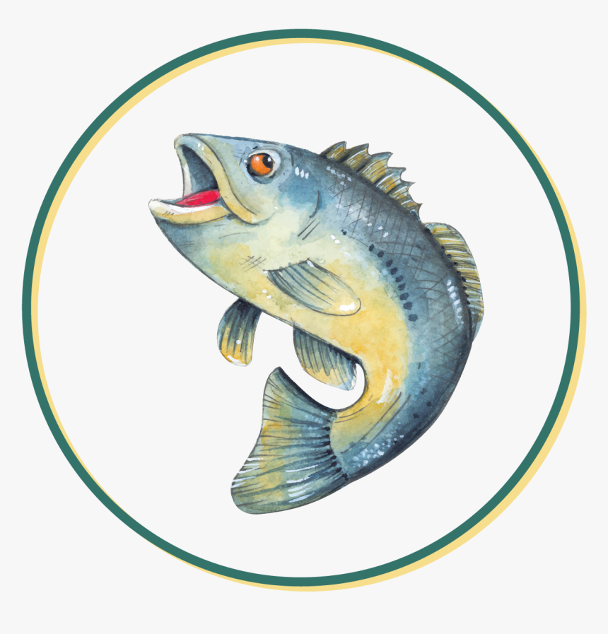 Black Bass Logo - Black Bass Hotel Logo, HD Png Download, Free Download