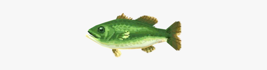 Download Zip Archive - Bony-fish, HD Png Download, Free Download