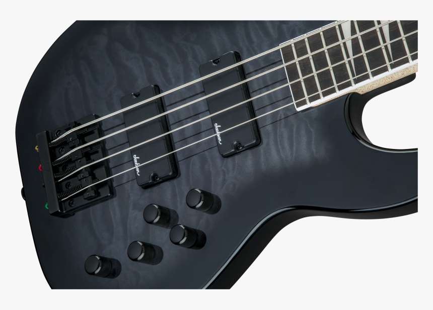 Black Bass Png, Transparent Png, Free Download