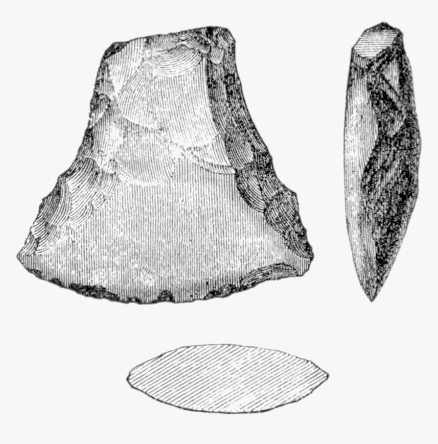 The Ancient Stone Implements 0118b - Conch, HD Png Download, Free Download