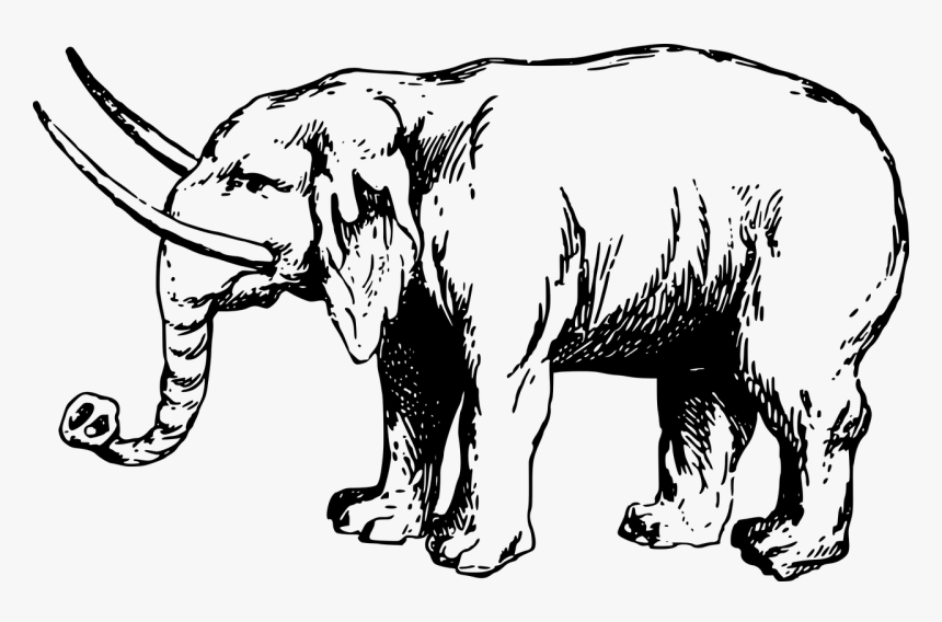 Clip Art Details - Gajah Kartun Hitam Putih, HD Png Download, Free Download