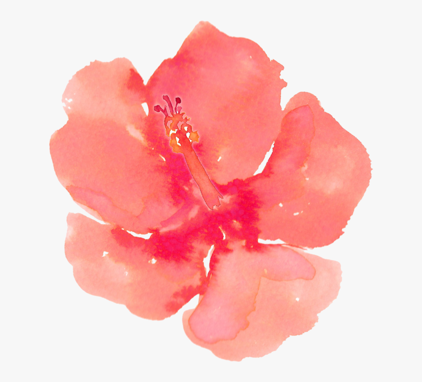 Painting Download Clip Art - Watercolour Hibiscus Png, Transparent Png, Free Download