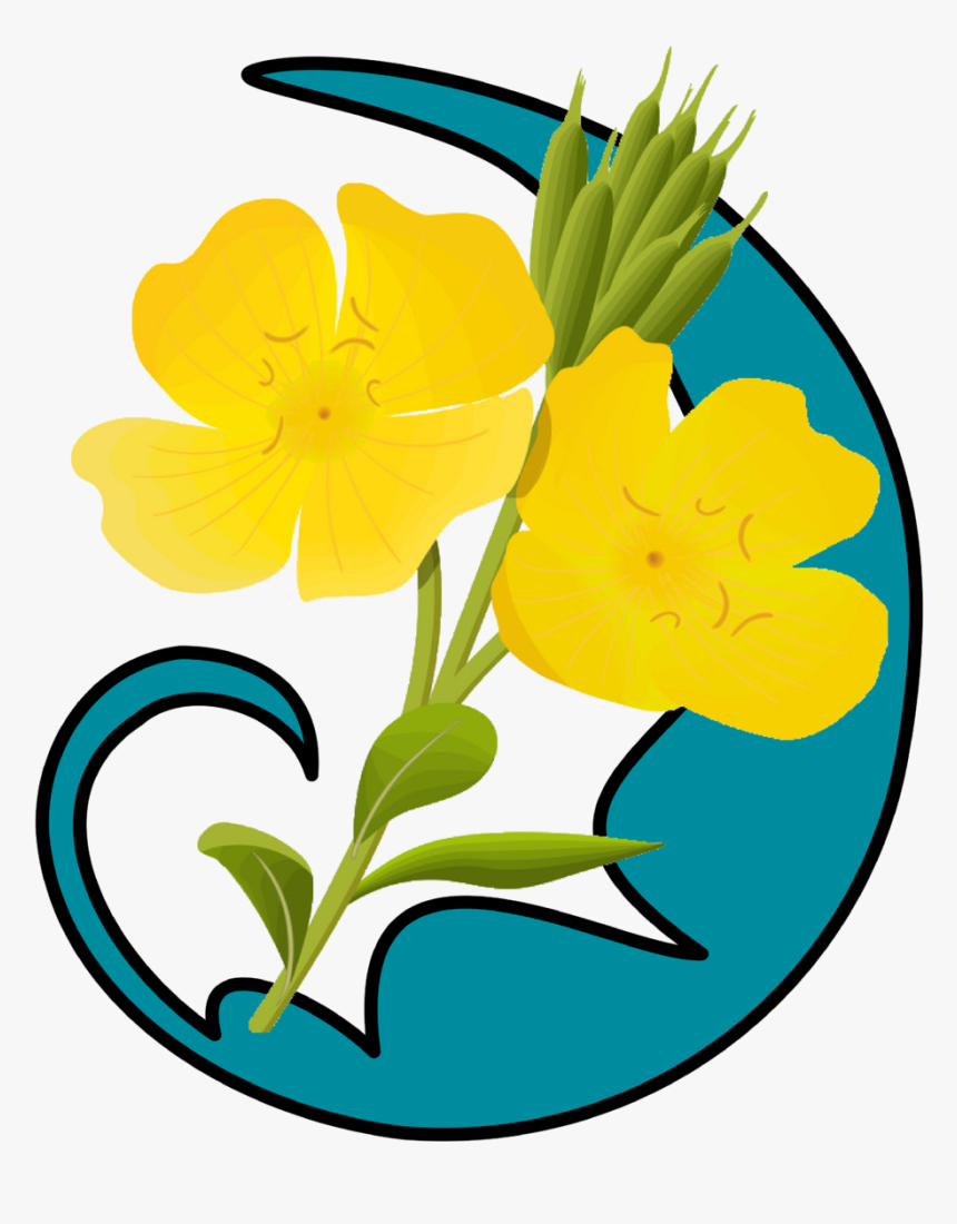 Lily, HD Png Download, Free Download