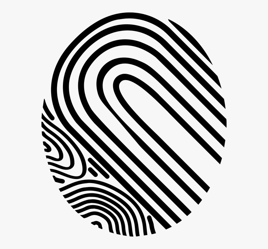 Fingerprint Png Images - Big Fingerprint, Transparent Png, Free Download