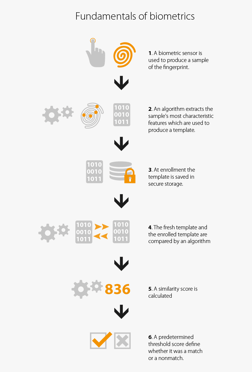 Biometric Algorithm, HD Png Download, Free Download