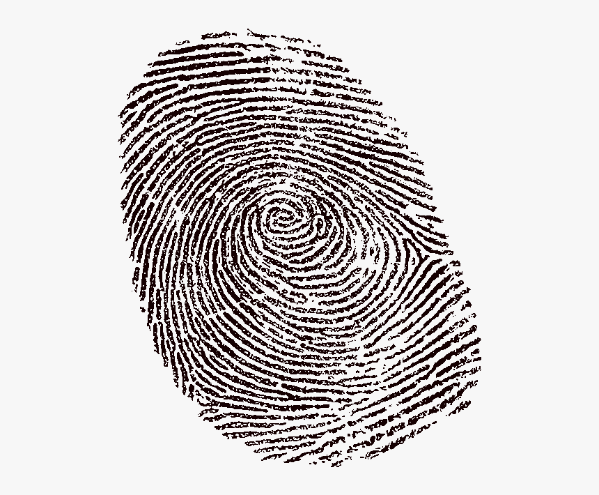 Female Fingerprints Transparent, HD Png Download, Free Download
