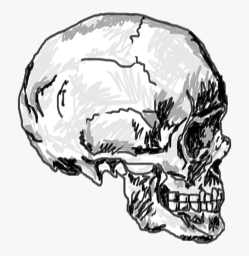 Transparent Skull Png Tumblr - Koponya Png, Png Download, Free Download