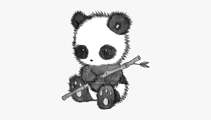 Panda With Bamboo Drawing, HD Png Download, Free Download