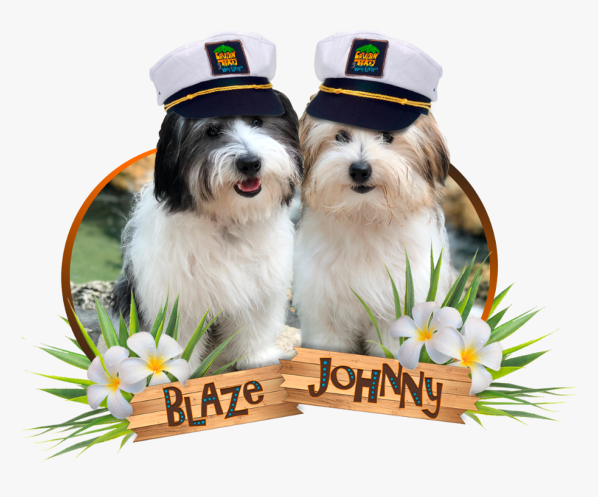 Blaze And Johnny, HD Png Download, Free Download