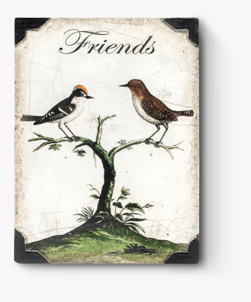 Sid Dickens Friends Tile, HD Png Download, Free Download