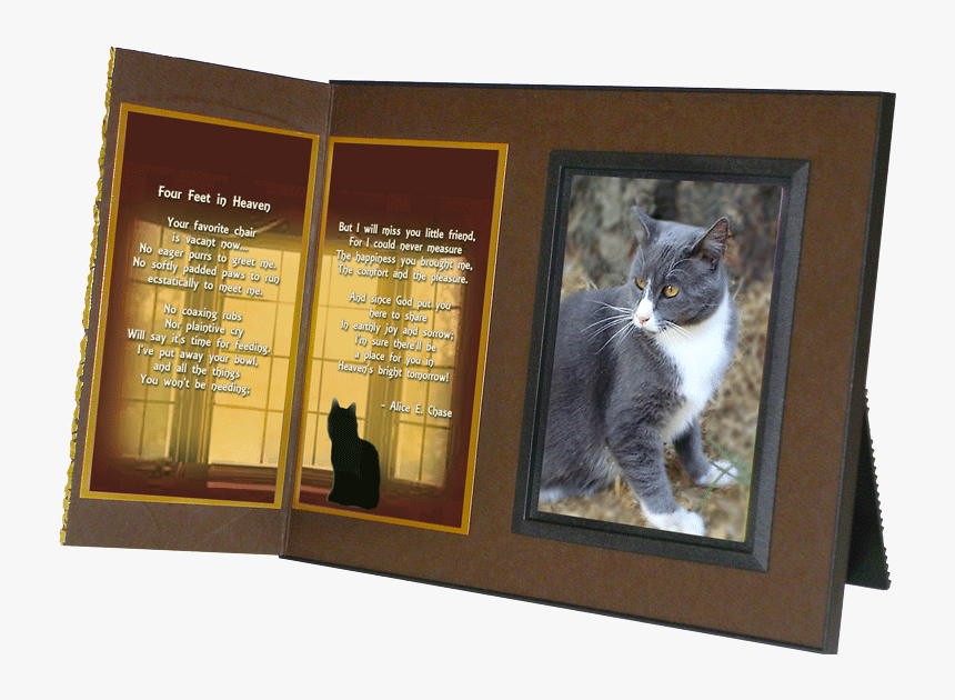 Cat Lover"s Pet Memorial Remembrance Frame - Pet, HD Png Download, Free Download