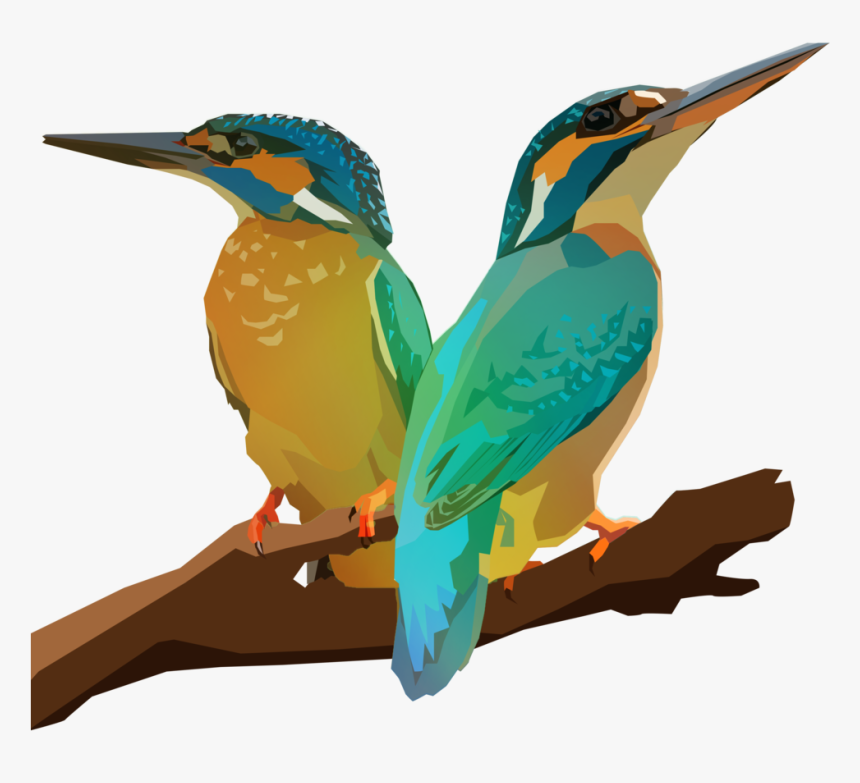 Birb 50 , Png Download - Coraciiformes, Transparent Png, Free Download