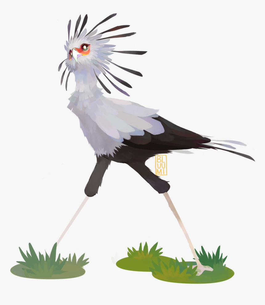 Transparent Secretary Clipart - Secretary Bird Fan Art, HD Png Download, Free Download