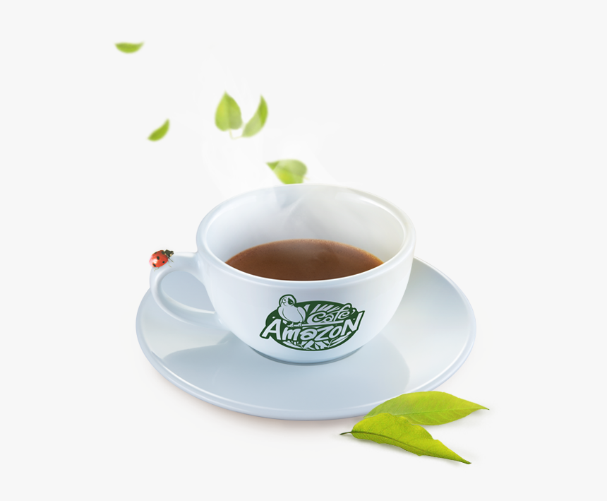 Thumb Image - Amazon Coffee Cup Png, Transparent Png, Free Download
