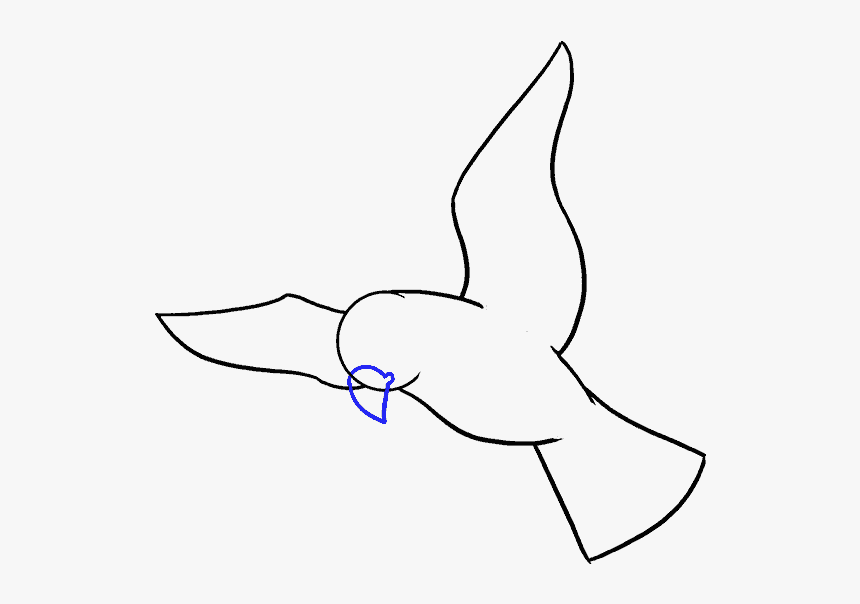 How To Draw Bird - Bird Draw, HD Png Download - kindpng