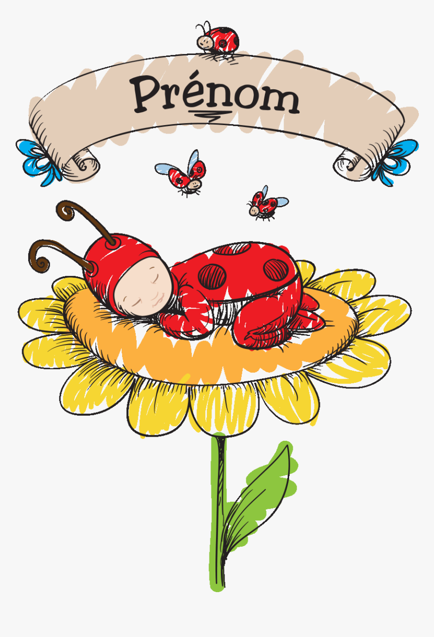 Sticker Prenom Personnalisable Bebe Coccinelle Ambiance - Don Baxter Ce Zici, HD Png Download, Free Download