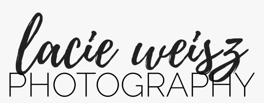 Lacie Weisz Photography - Calligraphy, HD Png Download, Free Download