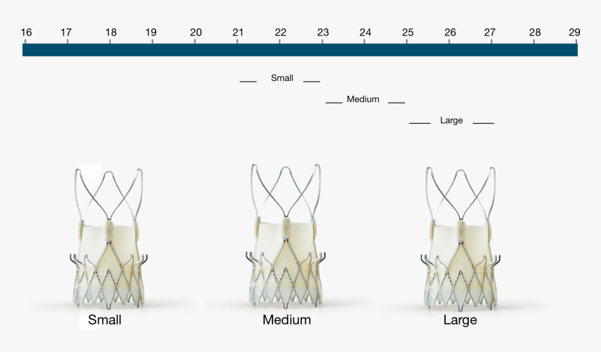 Acurate Neo Valve Sizes, HD Png Download, Free Download