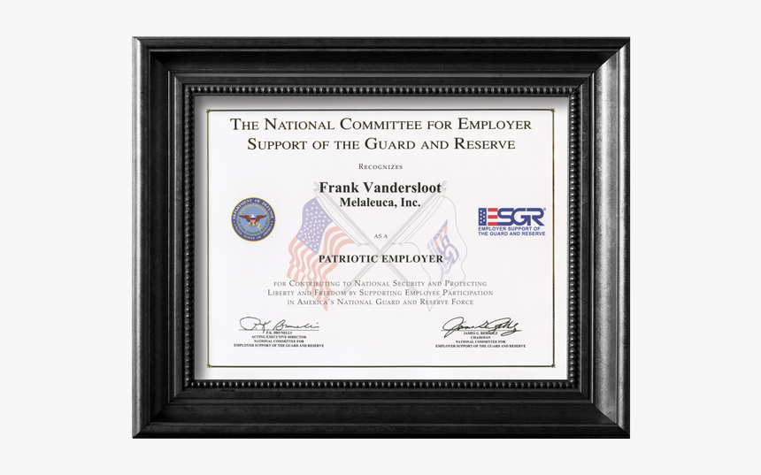 Esgr Patriot Award - Picture Frame, HD Png Download, Free Download