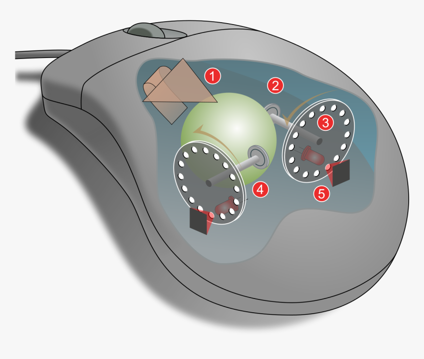 Mouse-function - Bill English Ball Mouse, HD Png Download, Free Download