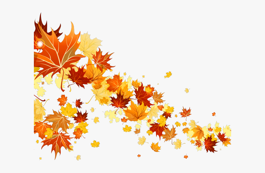 Thanksgiving Png Transparent Images - Autumn Leaves Transparent Background, Png Download, Free Download