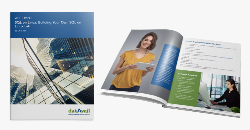 Datavail White Paper - Banner, HD Png Download, Free Download