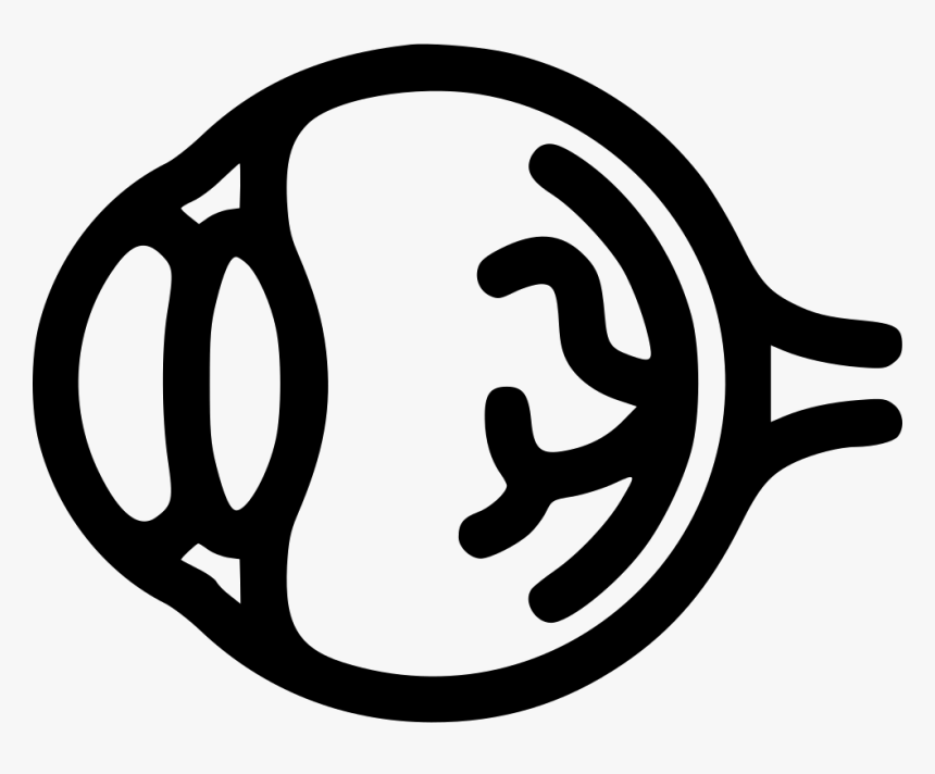 Eye - Eye Ball Icon Png, Transparent Png, Free Download