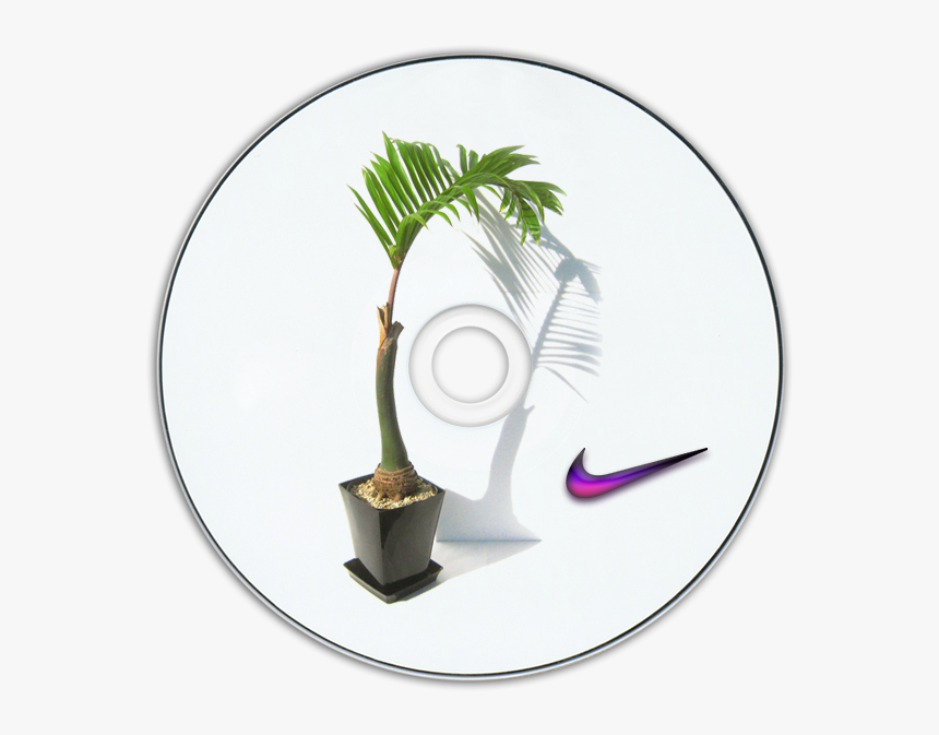 Vaporwave , Png Download - Houseplant, Transparent Png, Free Download