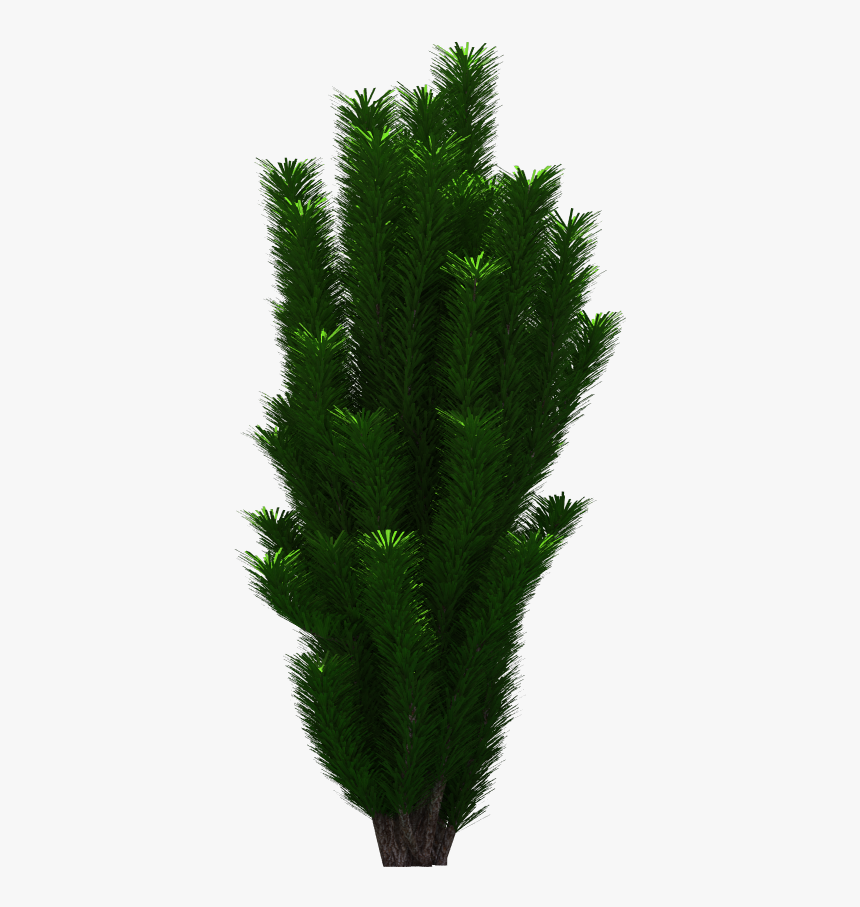 Tree Png Download Real Tree Png For Photoshop Picsart - Grass, Transparent Png, Free Download