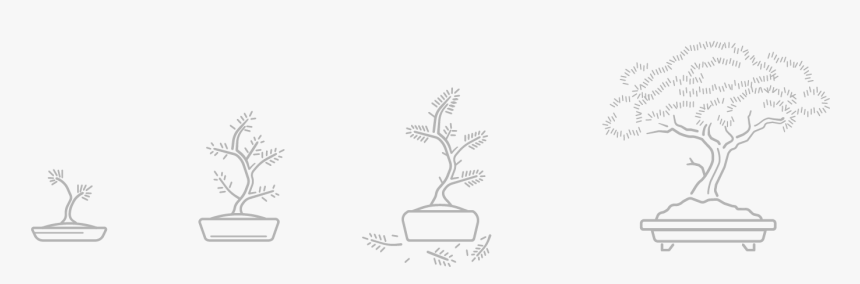 Bonsai, HD Png Download, Free Download