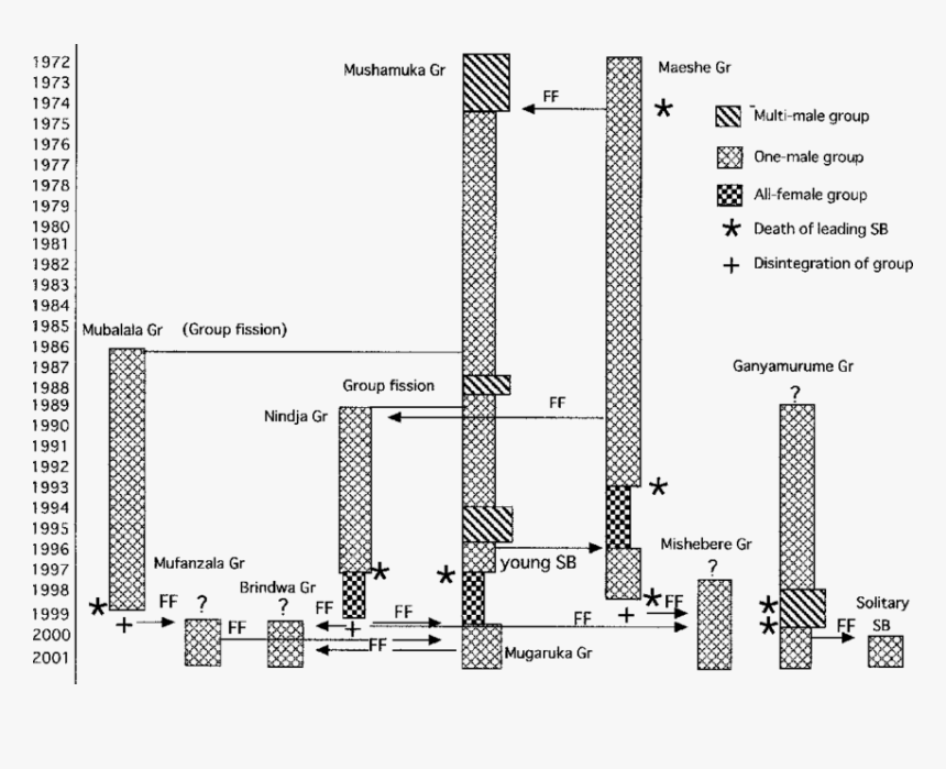 Diagram, HD Png Download, Free Download