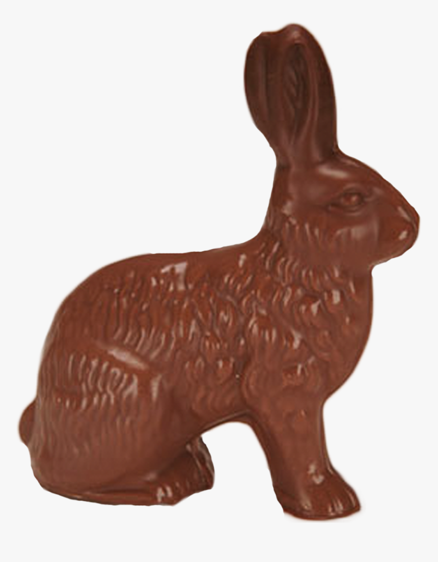 Chocolate Jack Rabbit - Domestic Rabbit, HD Png Download, Free Download