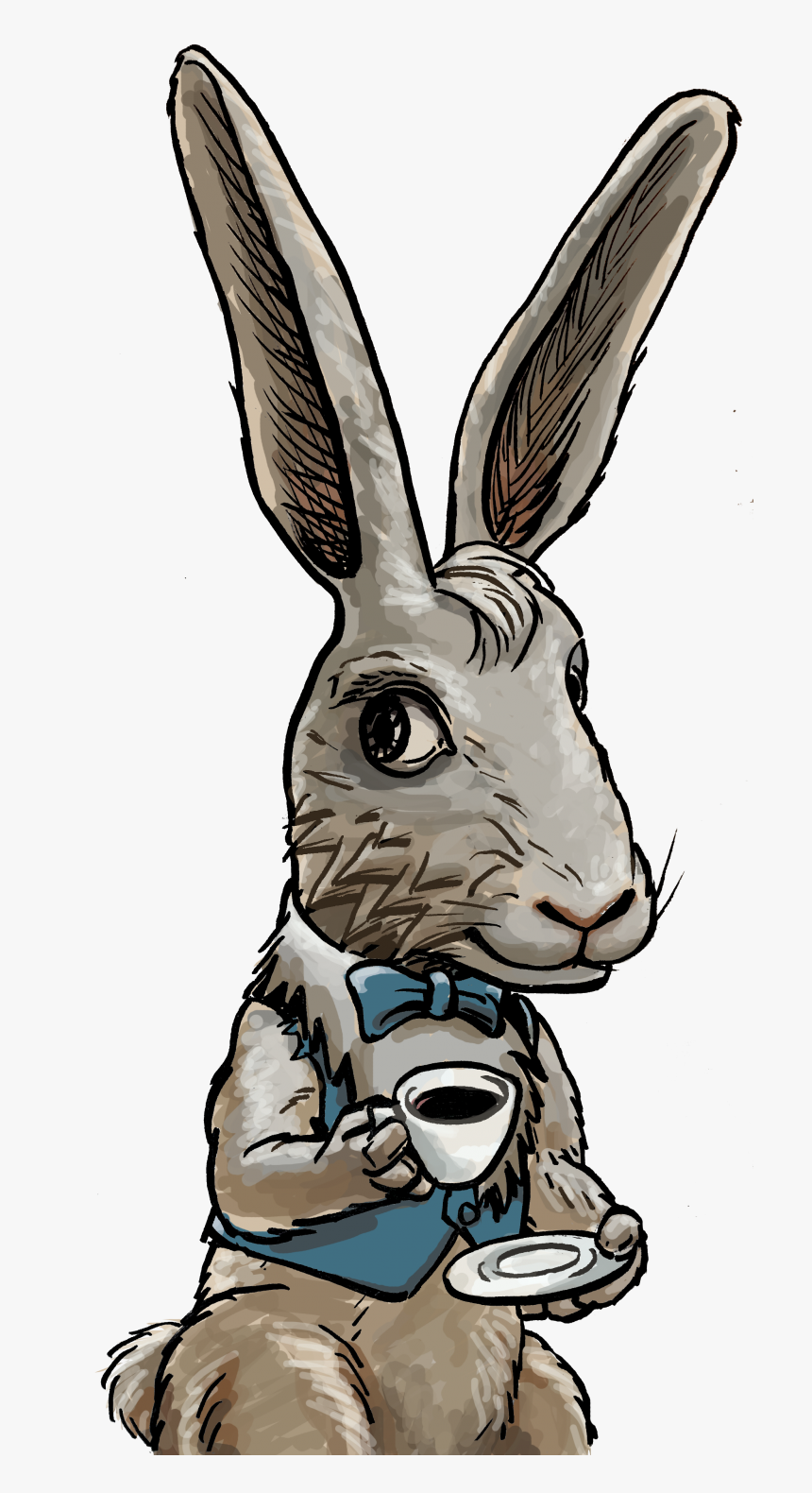 Domestic Rabbit, HD Png Download, Free Download