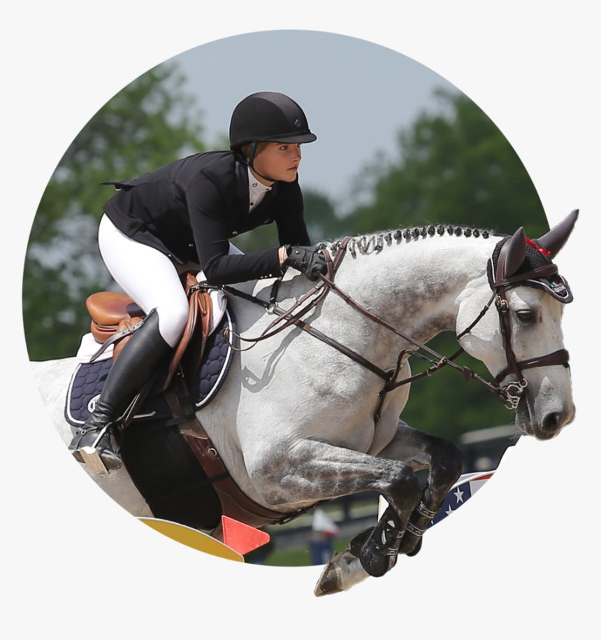 Kerry Mccahill Testimonial - Equitation, HD Png Download, Free Download