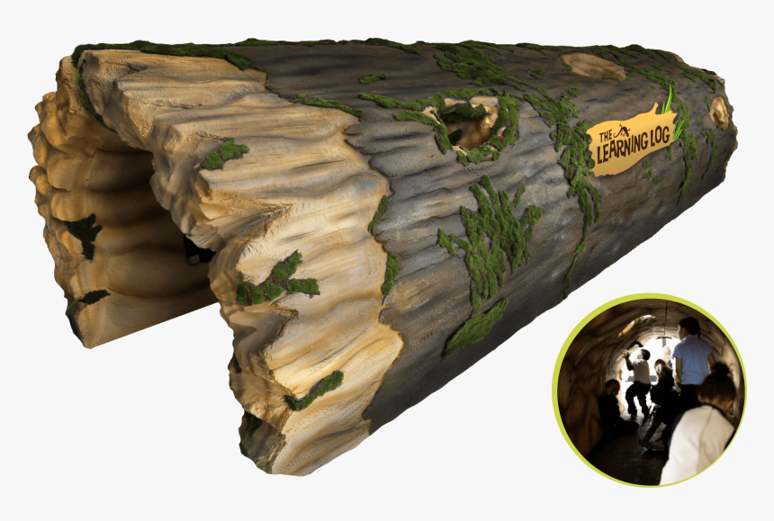 Imagine A Giant Fallen Tree, Hollowed Out And , Png - Tree, Transparent Png, Free Download