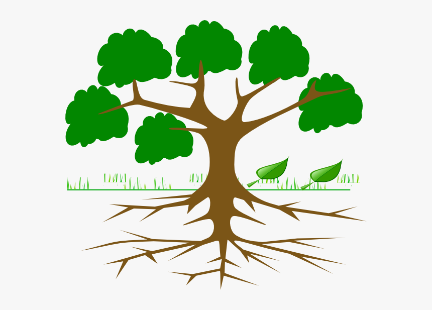 Tree Clipart With Roots - Tree With Roots Cartoon, HD Png Download, Free Download