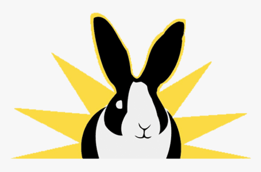 Special Bunny, HD Png Download, Free Download